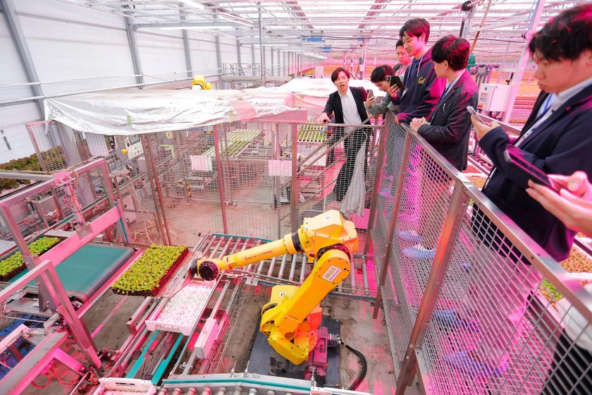 仙台から変革を起こすテクノロジーと人に出会う現地視察ツアー＆交流会 画像11