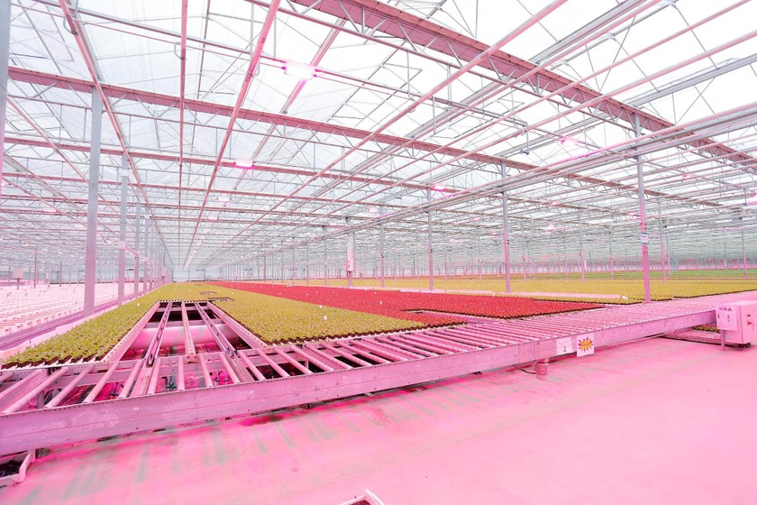 仙台から変革を起こすテクノロジーと人に出会う現地視察ツアー＆交流会 画像10