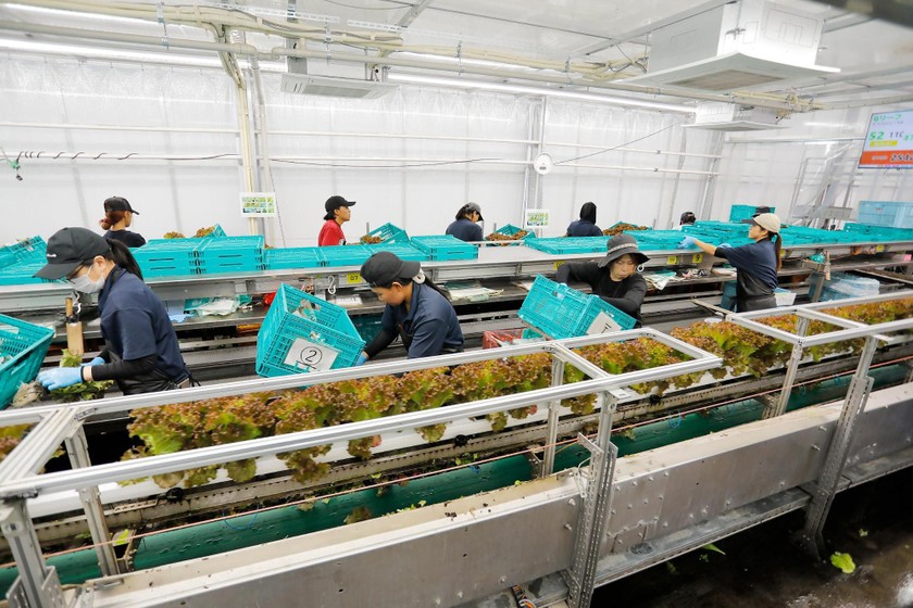 仙台から変革を起こすテクノロジーと人に出会う現地視察ツアー＆交流会 画像12