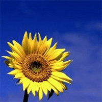 9cQTnXu0_400x400 2.png