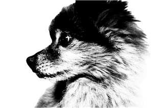 icon_kumano_san