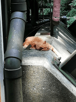 82d773dc2aea4377f483621adb57eda2 1.png
