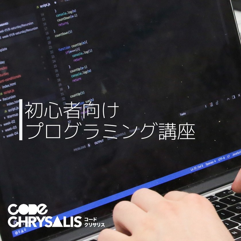 5週間で英語でプログラミングを学んでみませんか？【初心者向け】