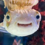 9SyT3imn_400x400 (2).jpg