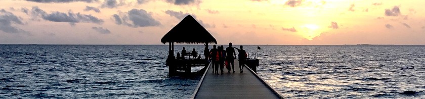 アイデアニュース