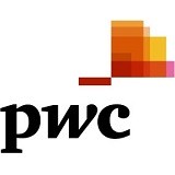 PwC Technology Consulting