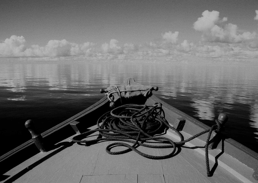 Shirofune｜Google・Yahoo!・Facebookの広告運用自動化ツール