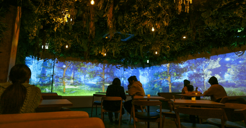 株式会社ワールドエリアネットワークス