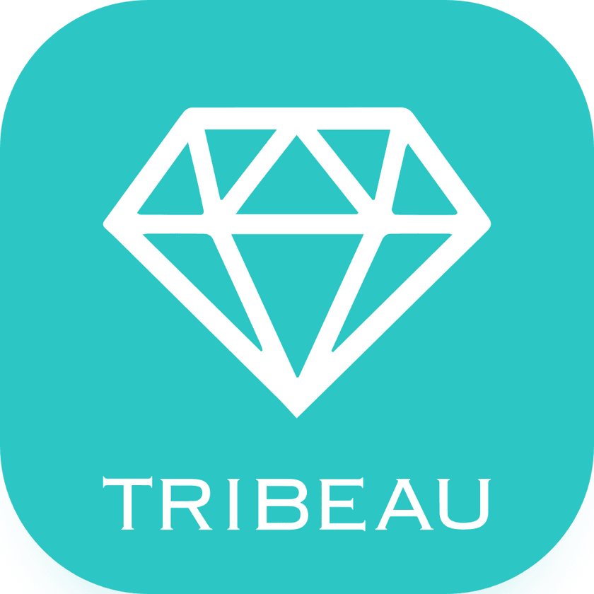 株式会社トリビュー