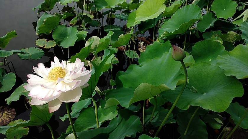 Talk＆Talk SDGs Style