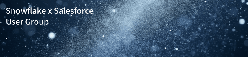 Snowflake x Salesforce User Group