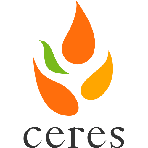 株式会社セレス