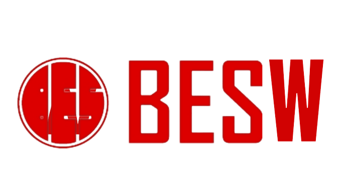 株式会社BESW