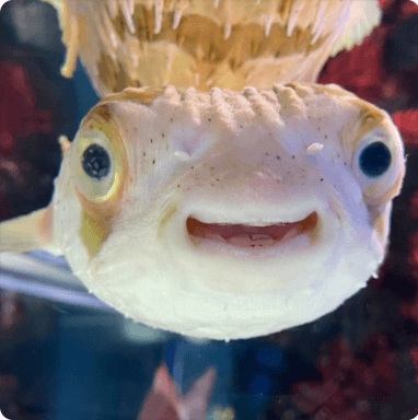 管理者のアバター